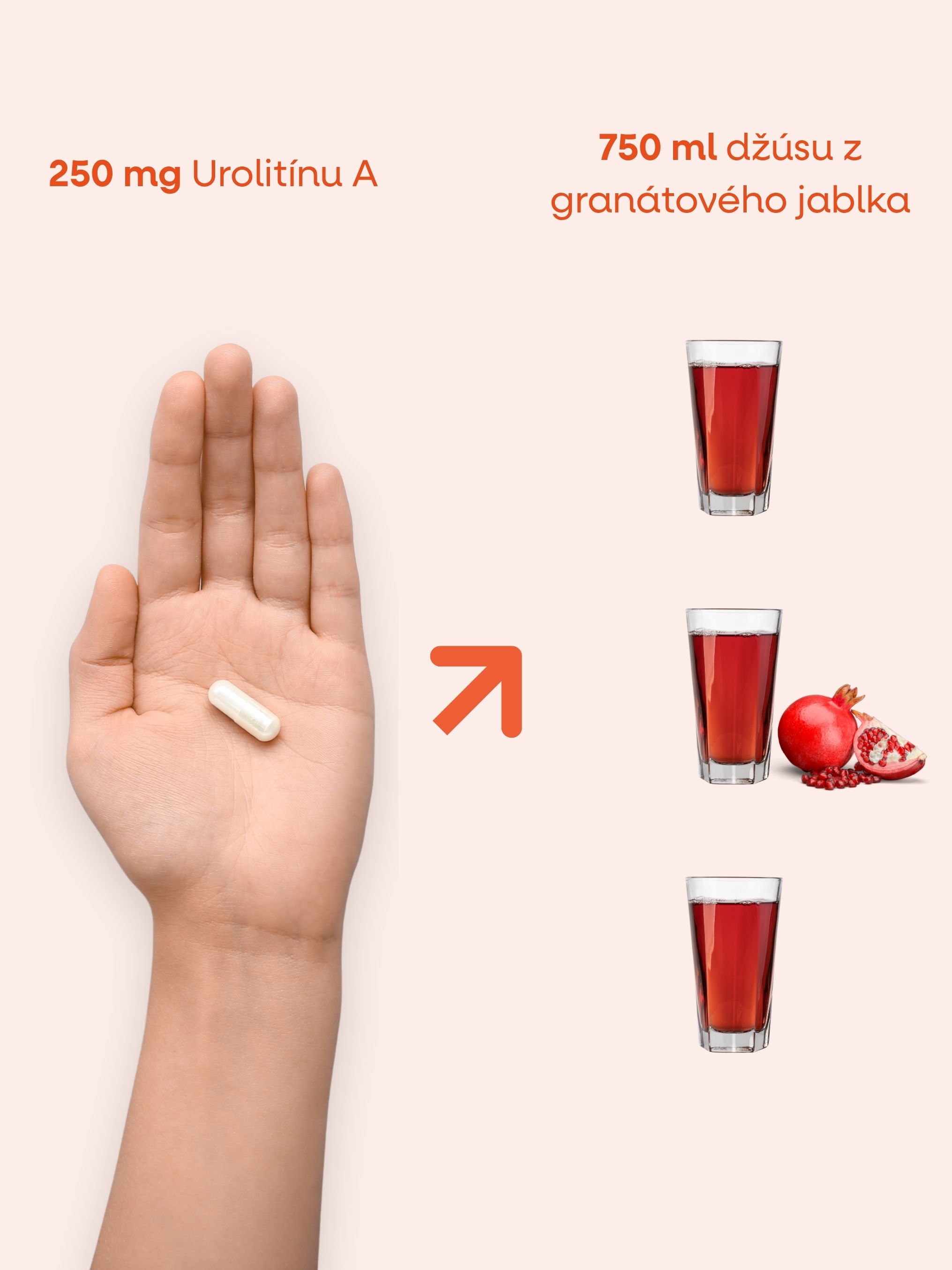 (Slovenčina) - 2025-07-25T120758.235